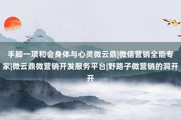 手脚一项和会身体与心灵﻿微云鼎|微信营销全能专家|微云鼎微营销开发服务平台|野路子微营销的洞开